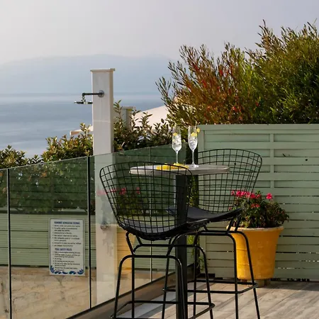 Aria * فاسيليكي