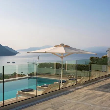 Aria فيلة فاسيليكي