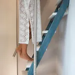 Aria